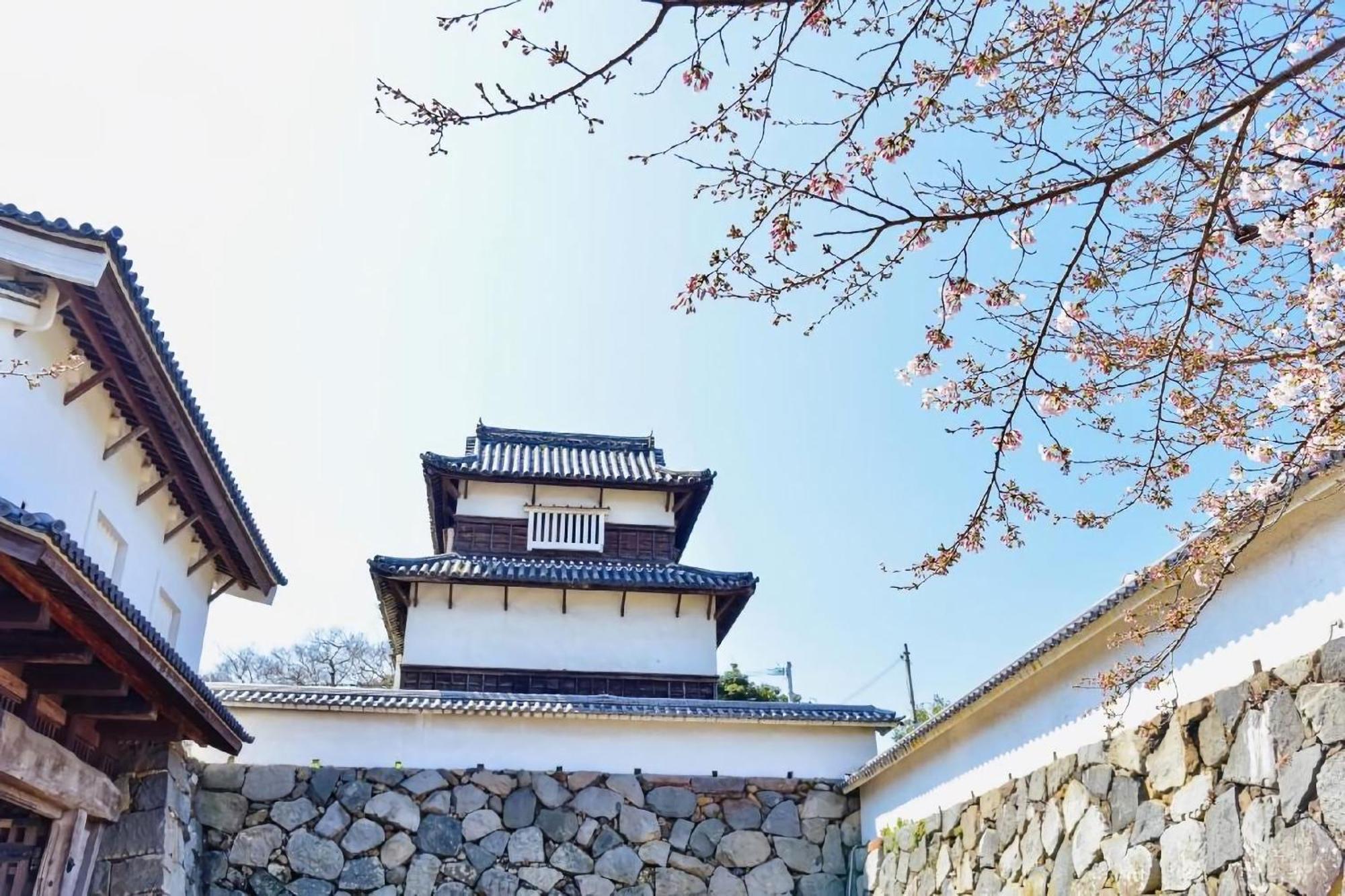 Goom Haruyoshi